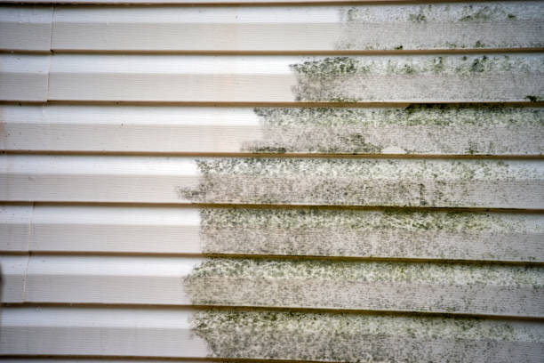 Best Dumpster Rental Services  in Maple Valley, WA